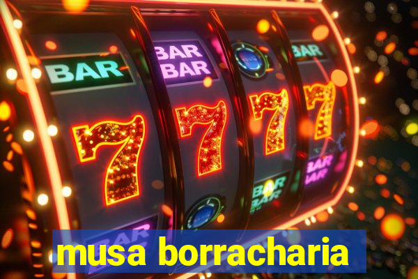 musa borracharia